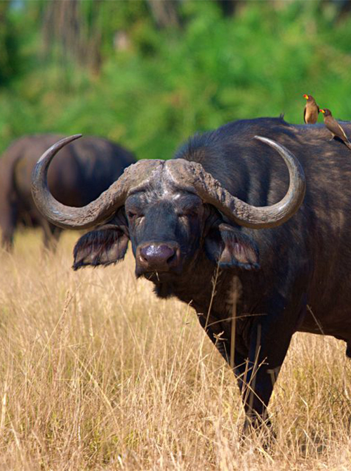 Mission Statement Image 1